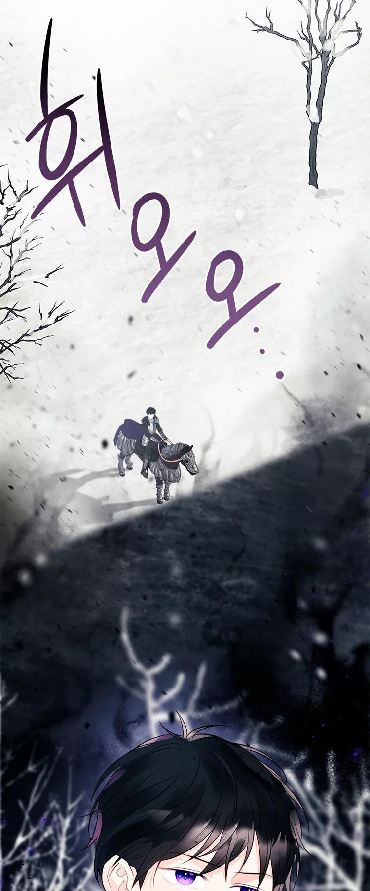Página 46