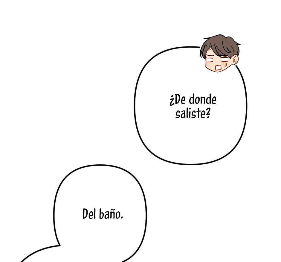 Página 46