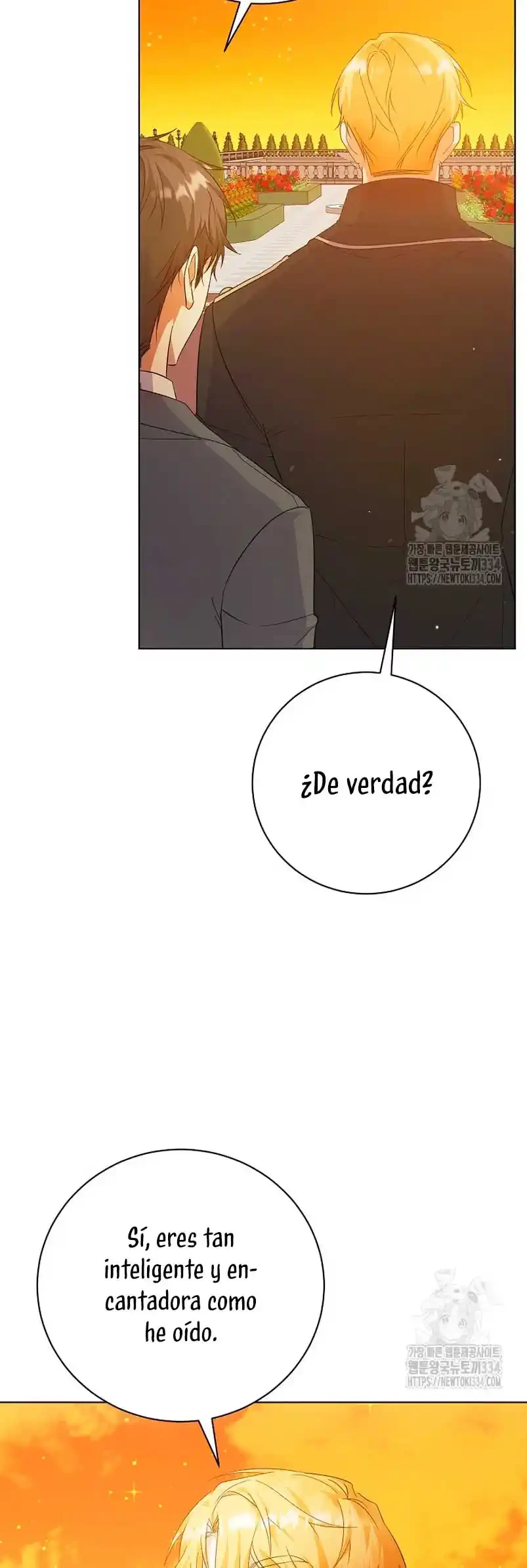 Página 46