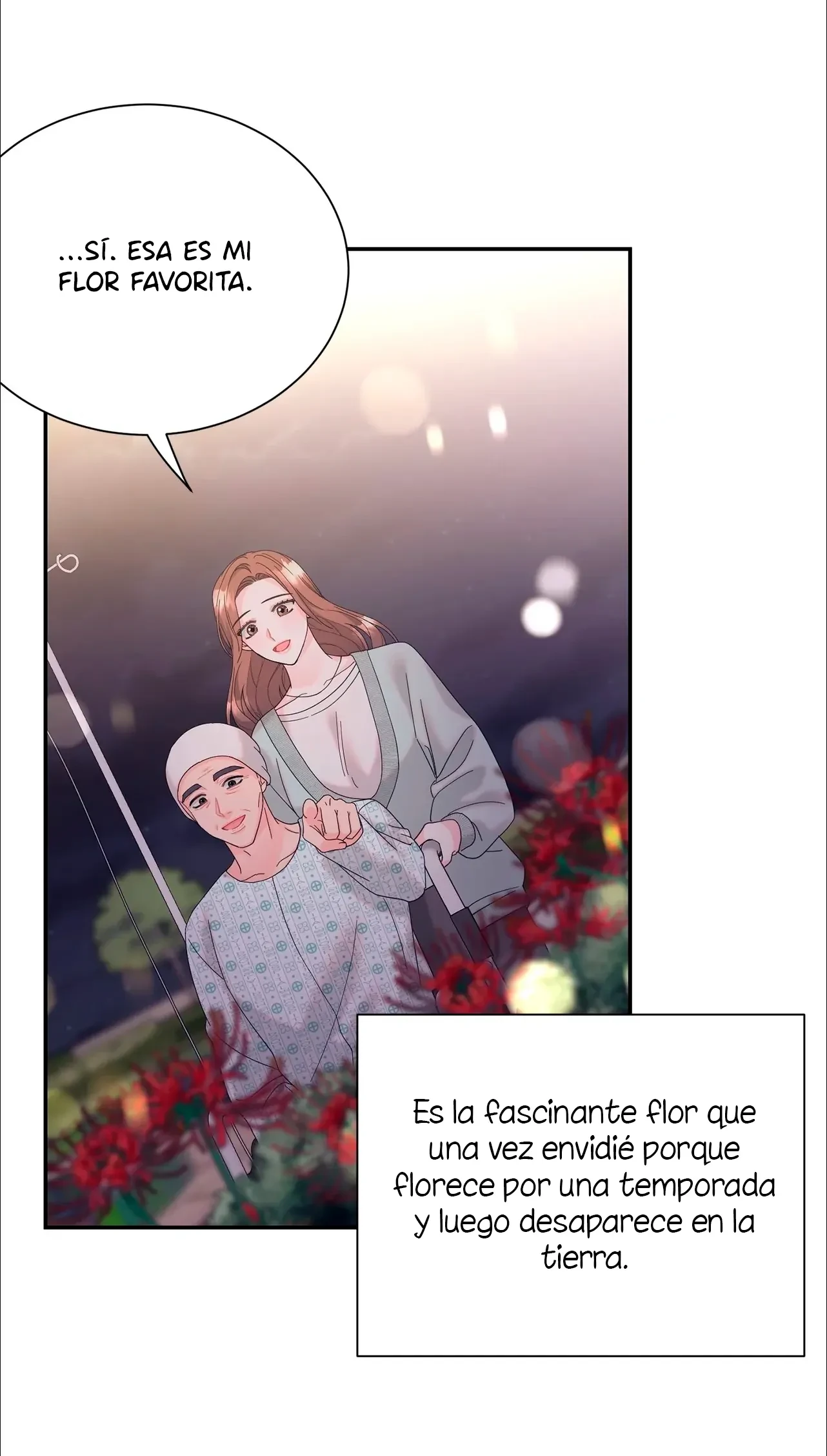 Página 52