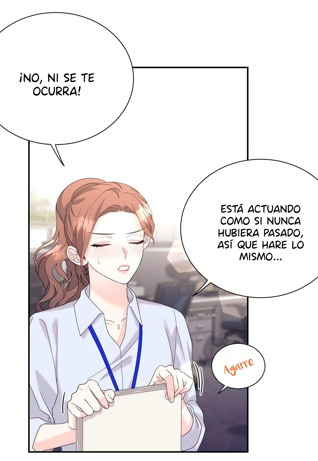 Página 48