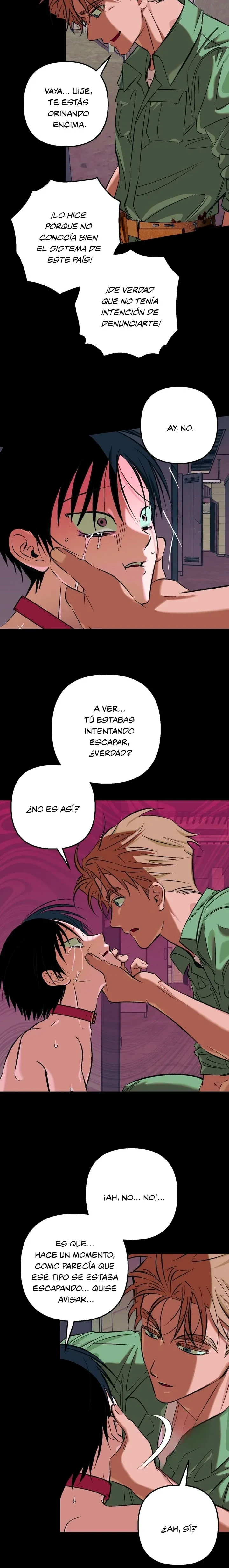 Página 6