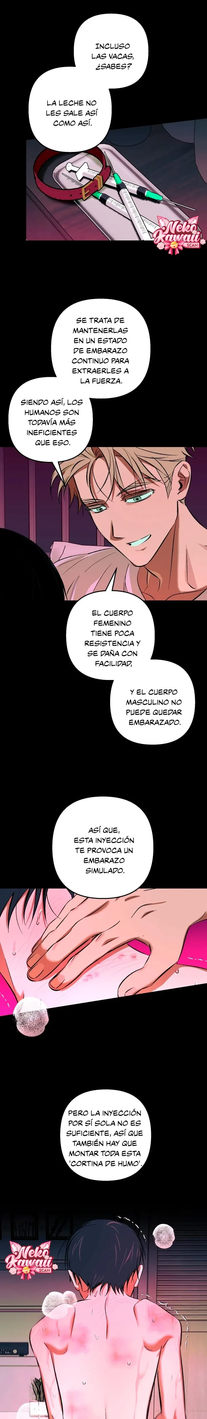 Página 12