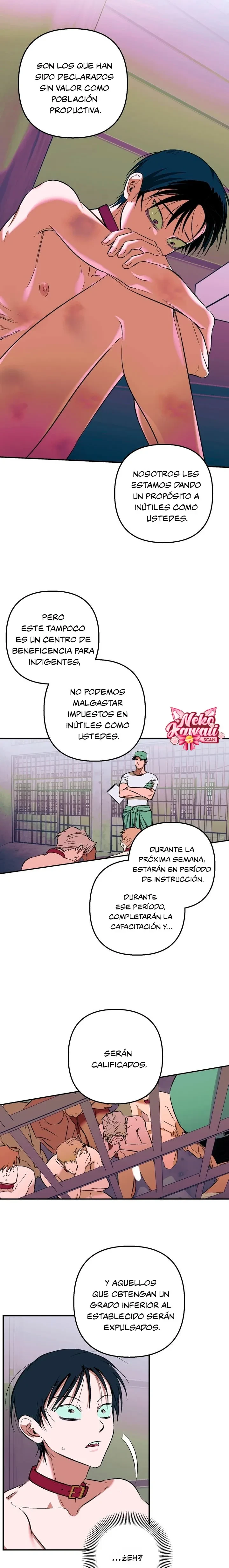 Página 7