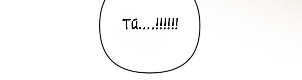Página 147