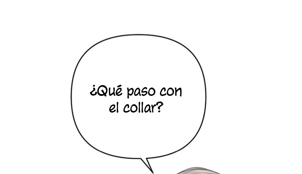 Página 121