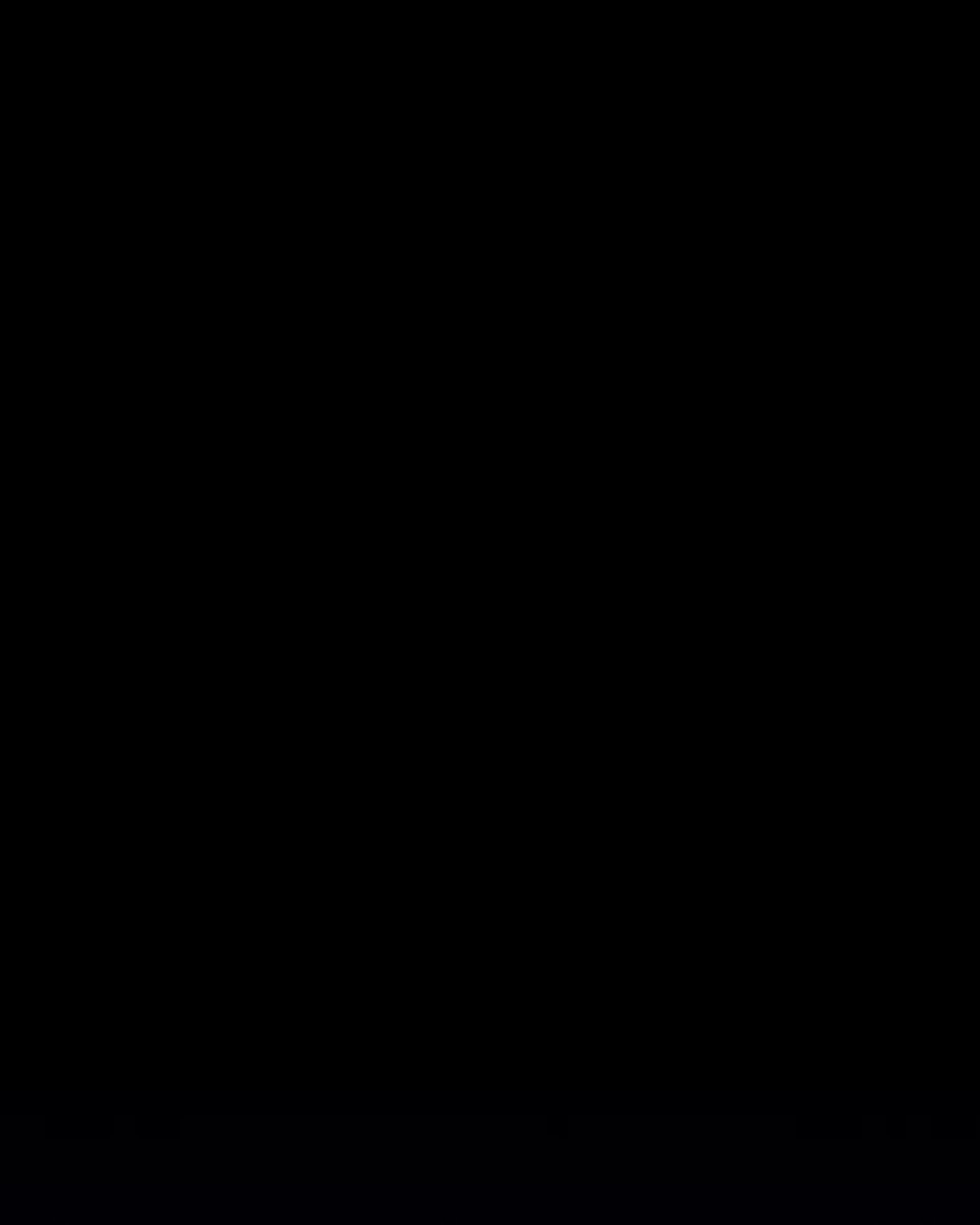 Página 80