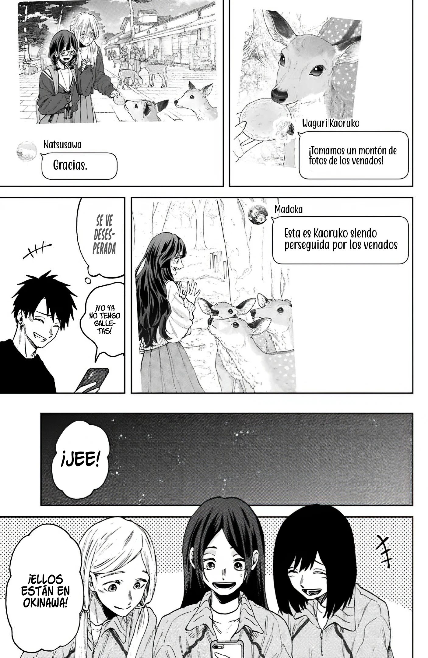 Página 12