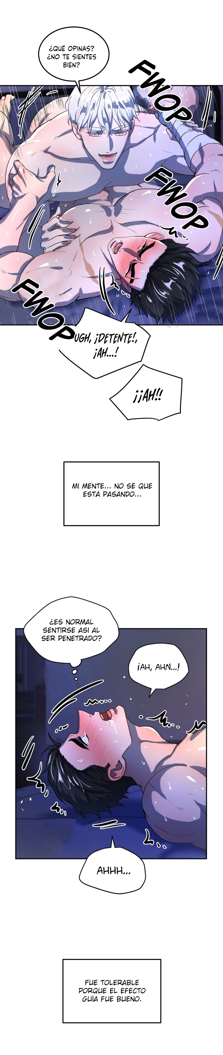 Página 6