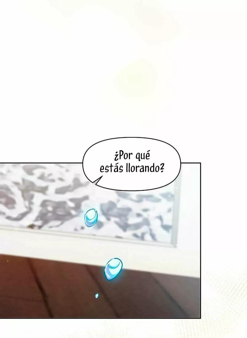 Página 41