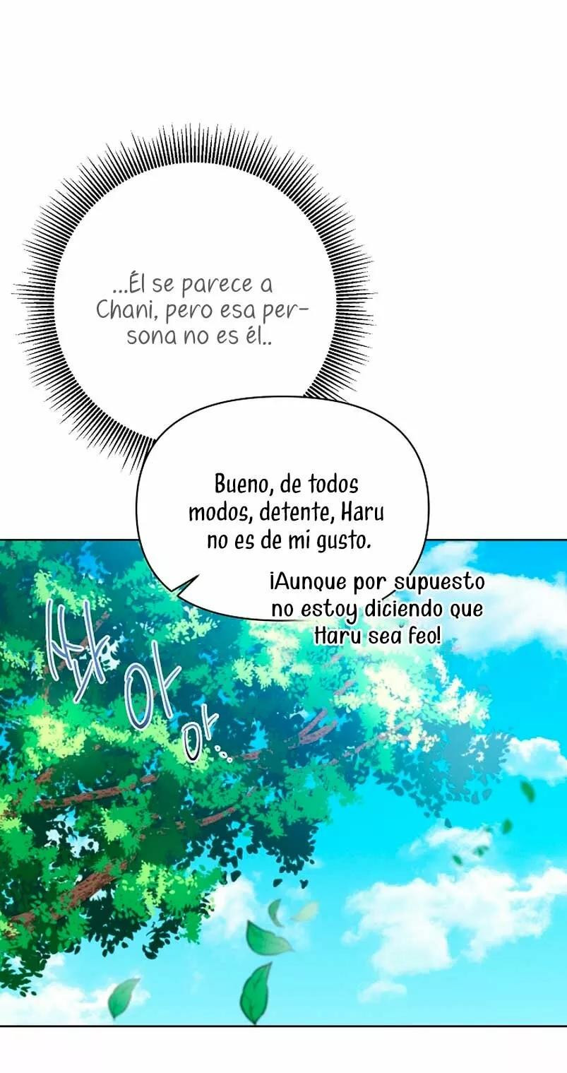 Página 42
