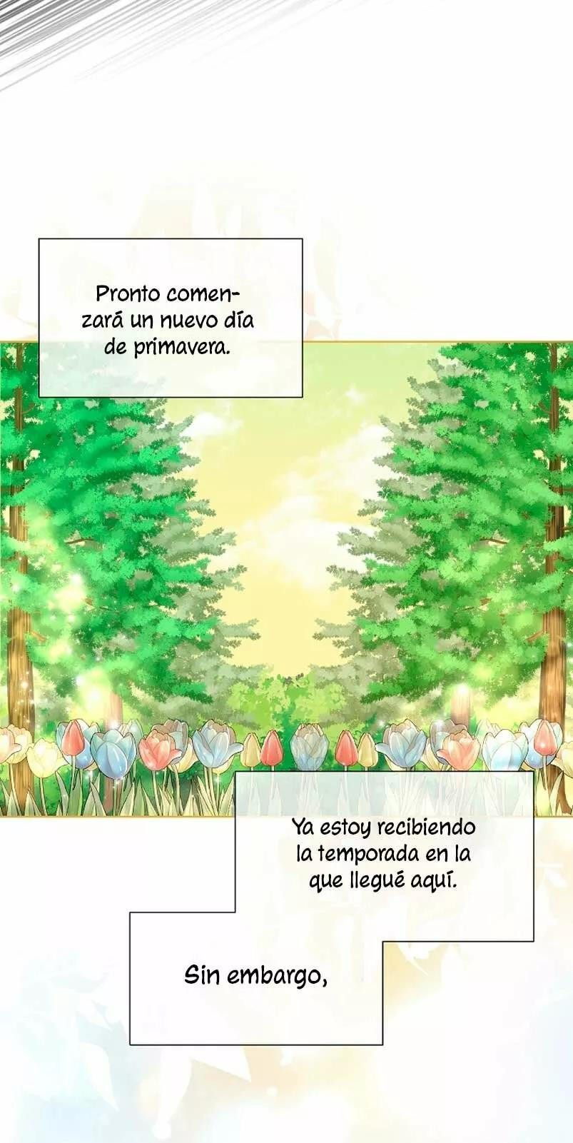 Página 42
