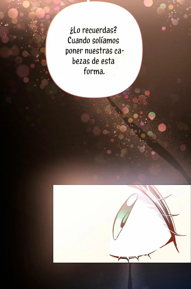 Página 46