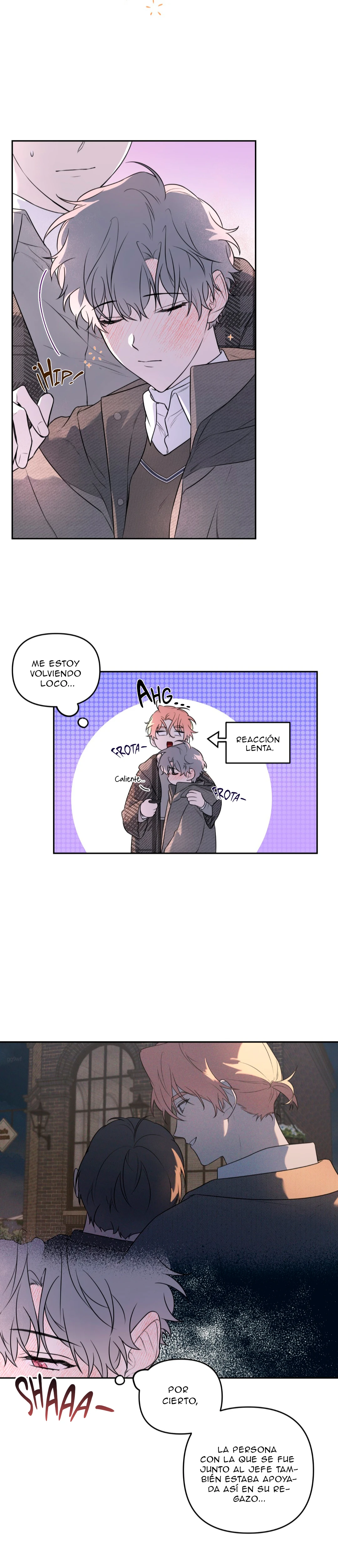 Página 21
