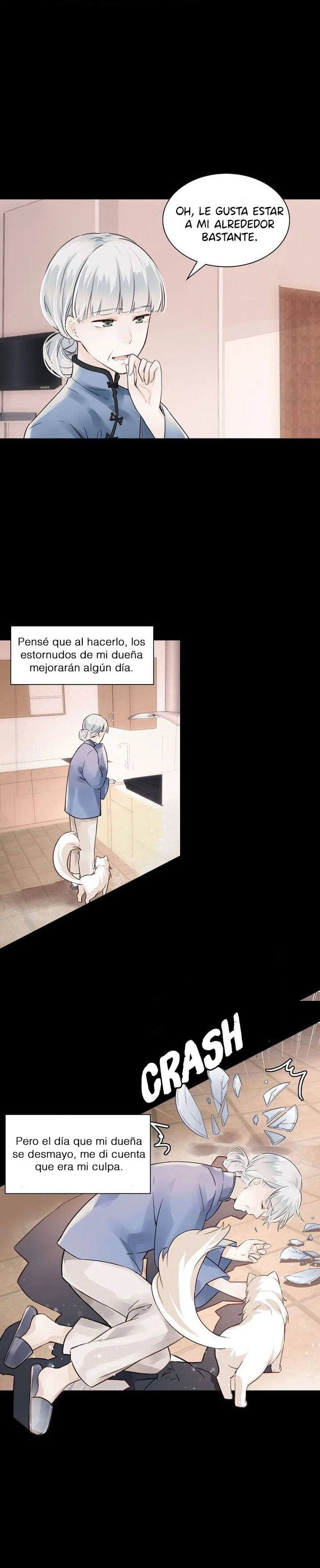 Página 13