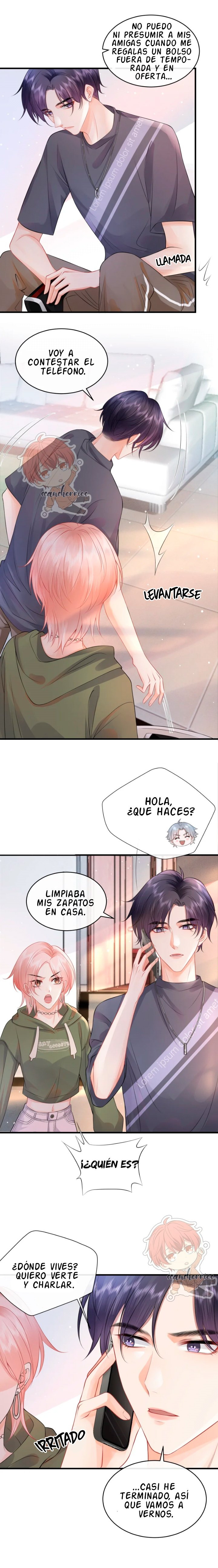 Página 4