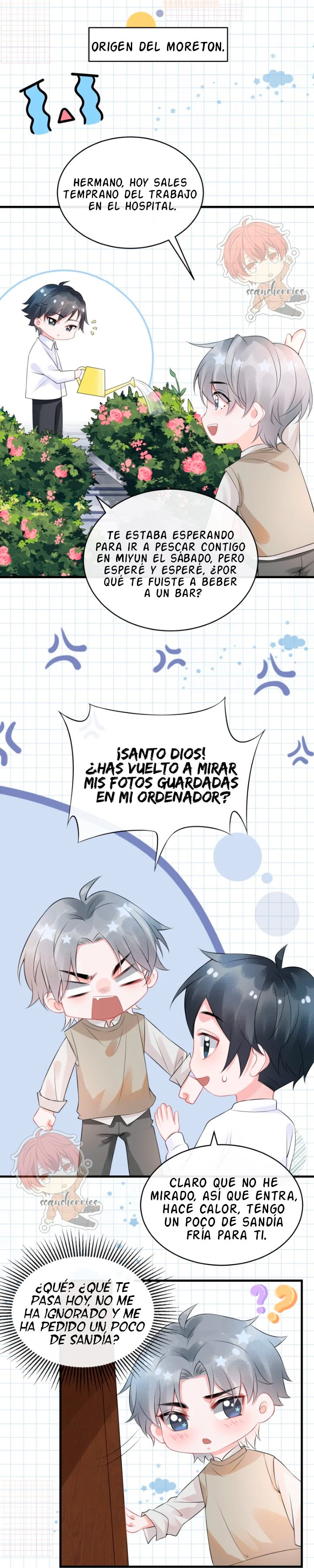 Página 2