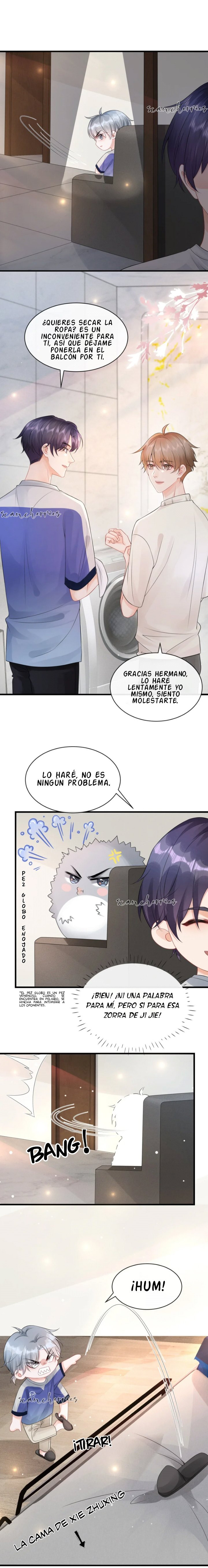 Página 3