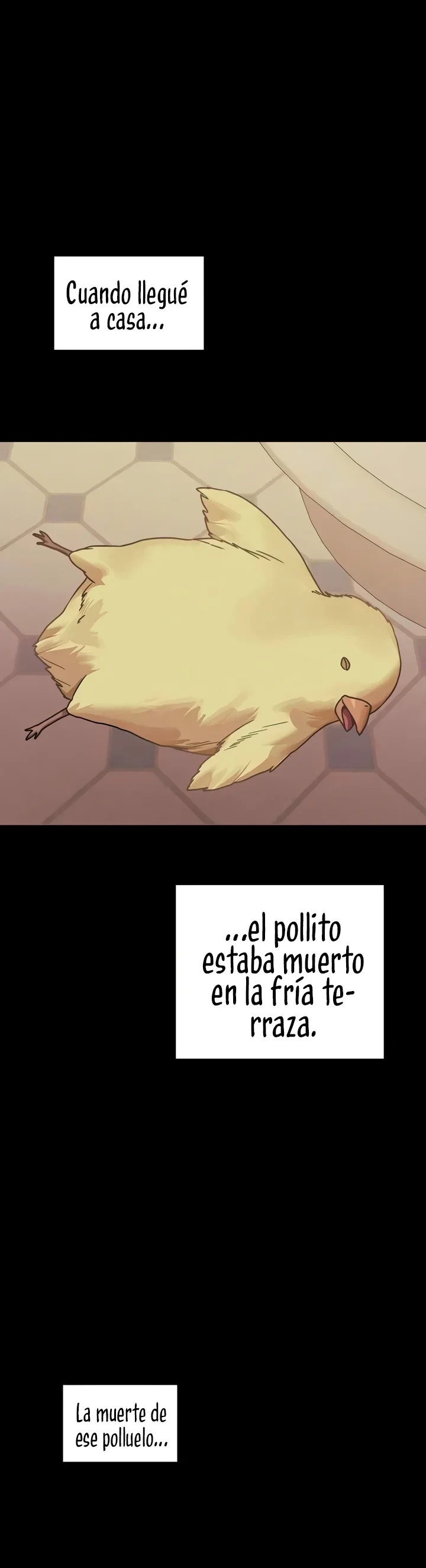 Página 2