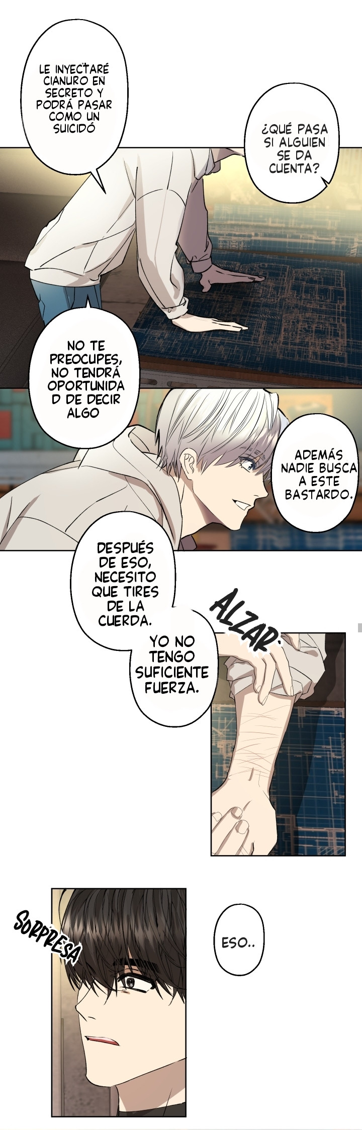 Página 12