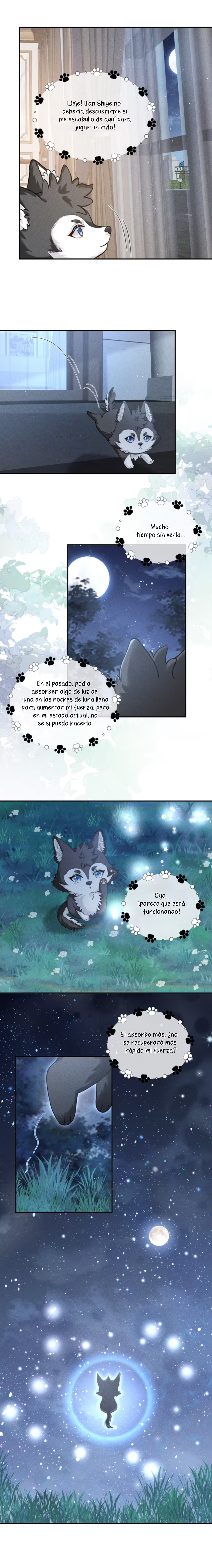 Página 6