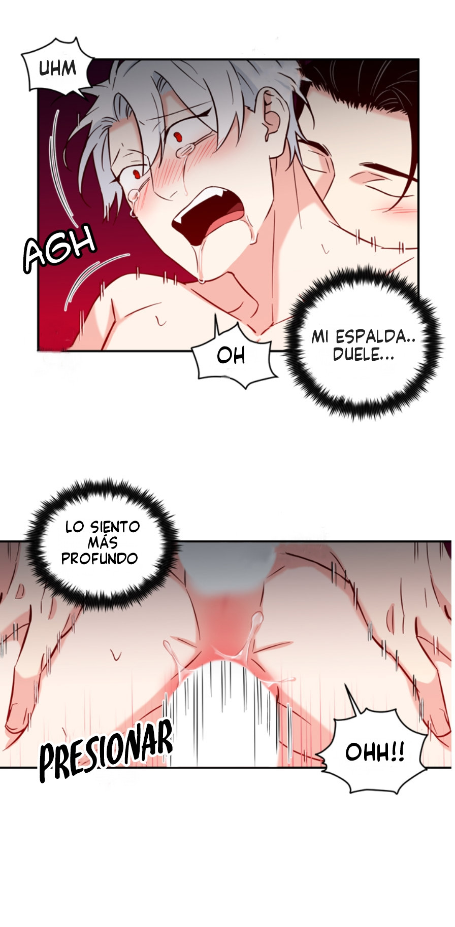 Página 7
