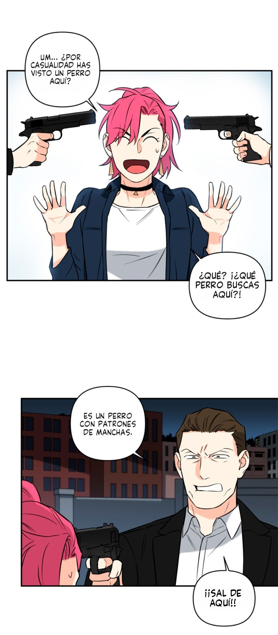 Página 5