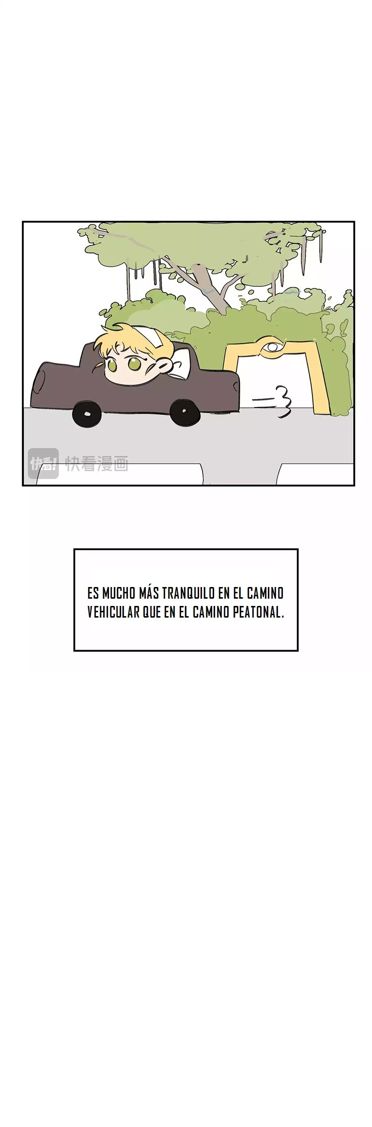Página 41