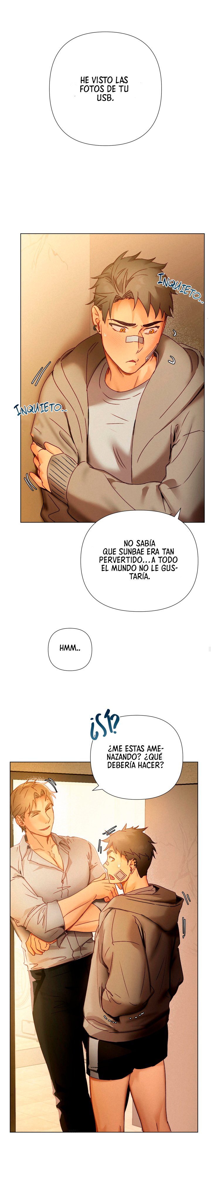 Página 20