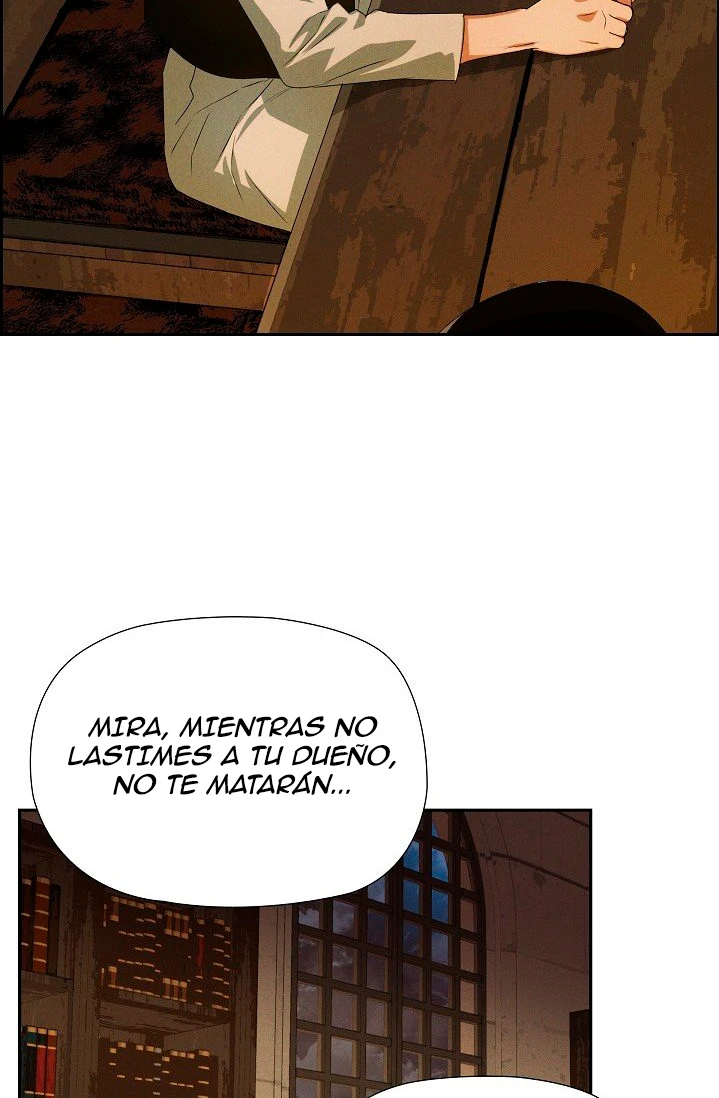 Página 42