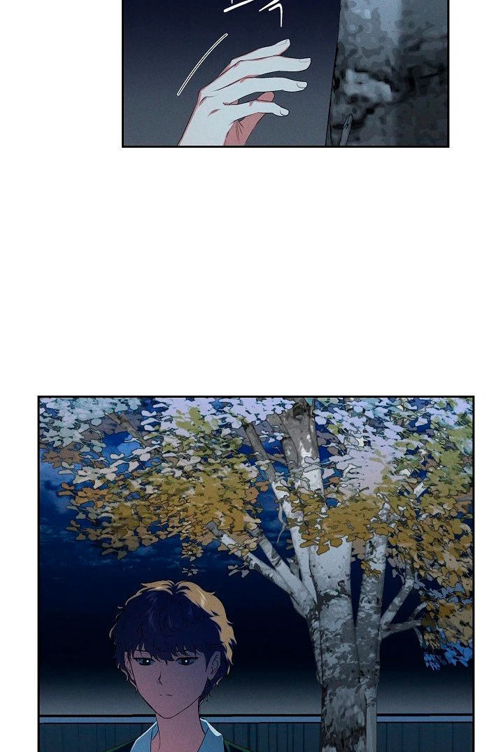 Página 61