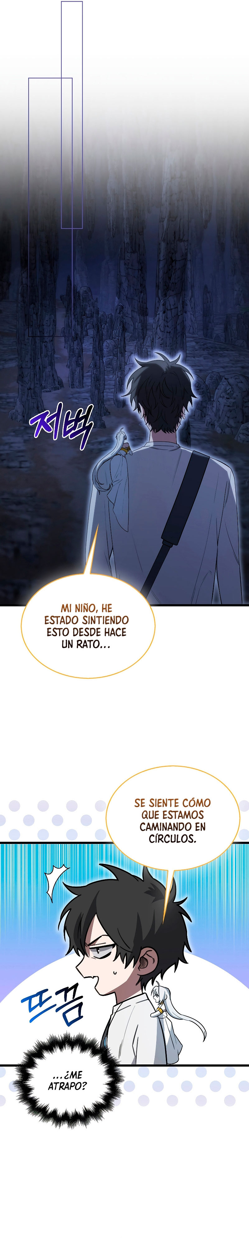 Página 26