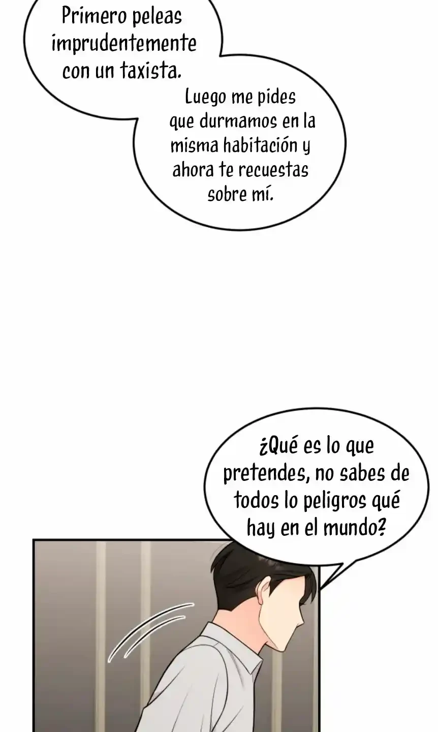 Página 51