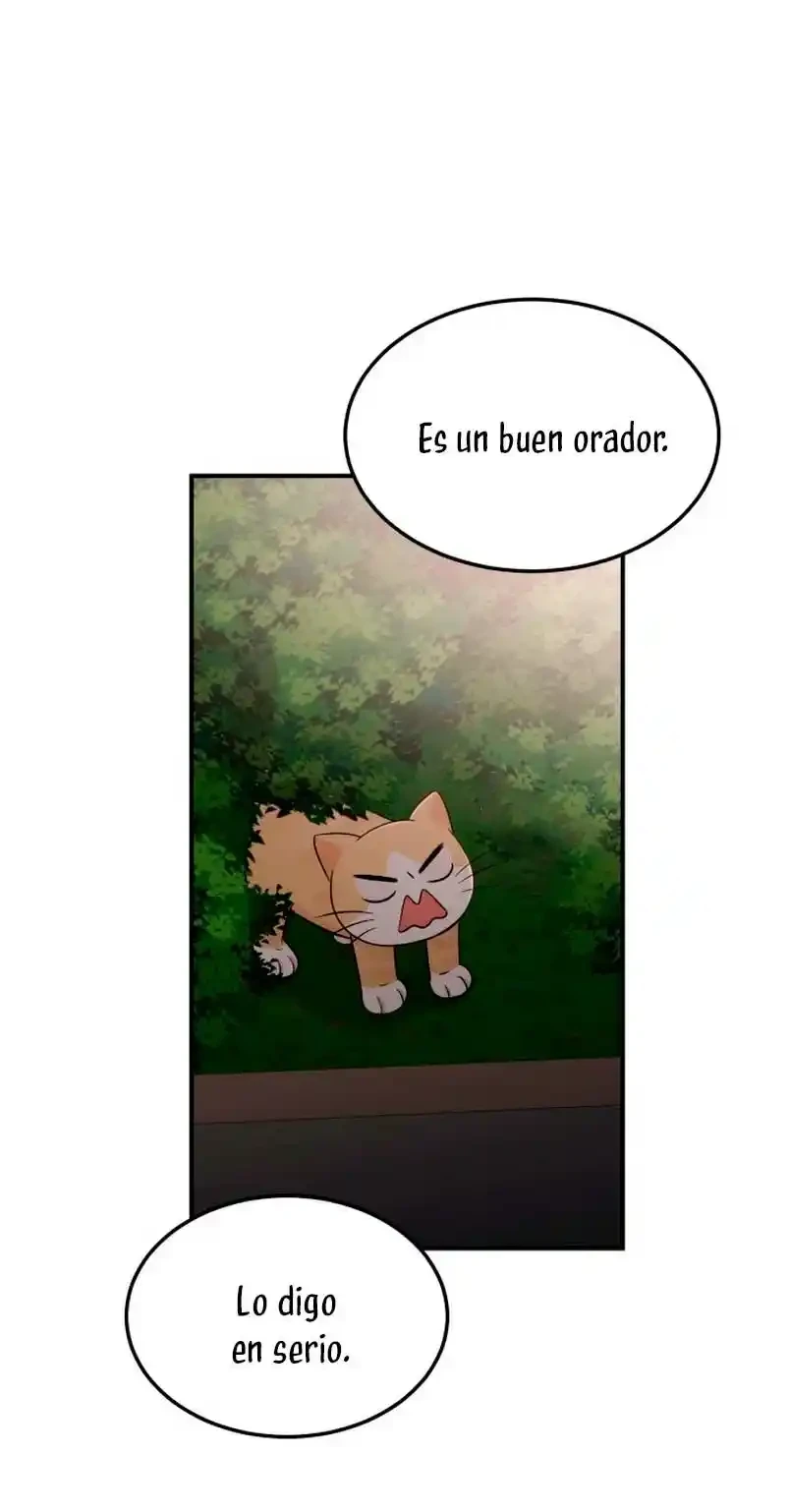 Página 50