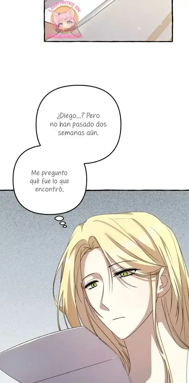 Página 44