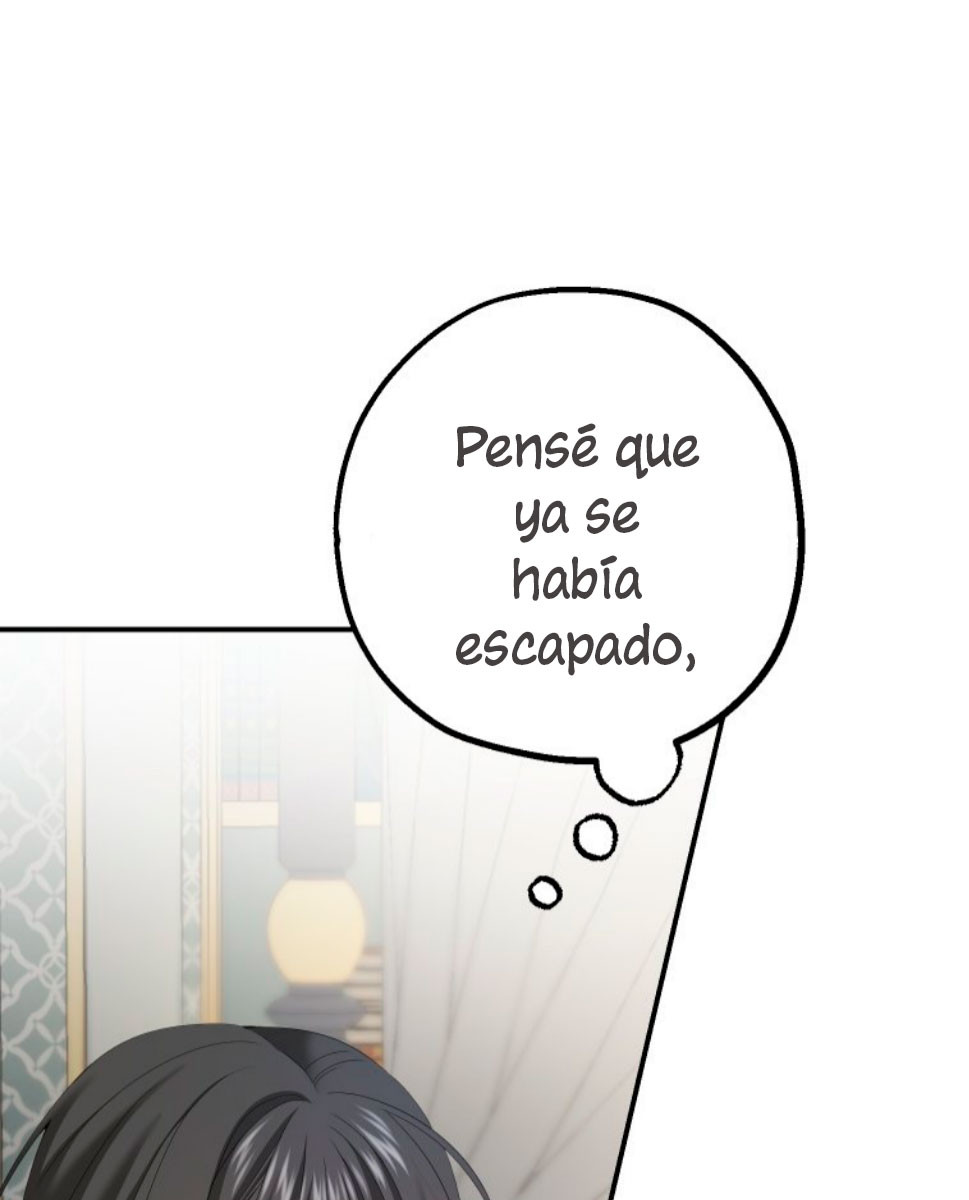 Página 50