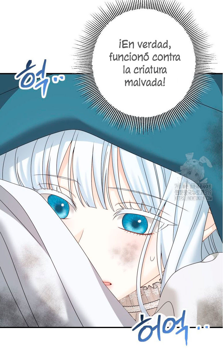 Página 42