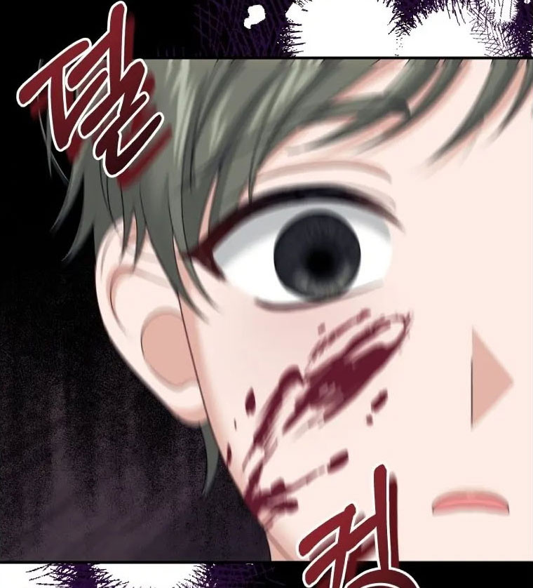 Página 41