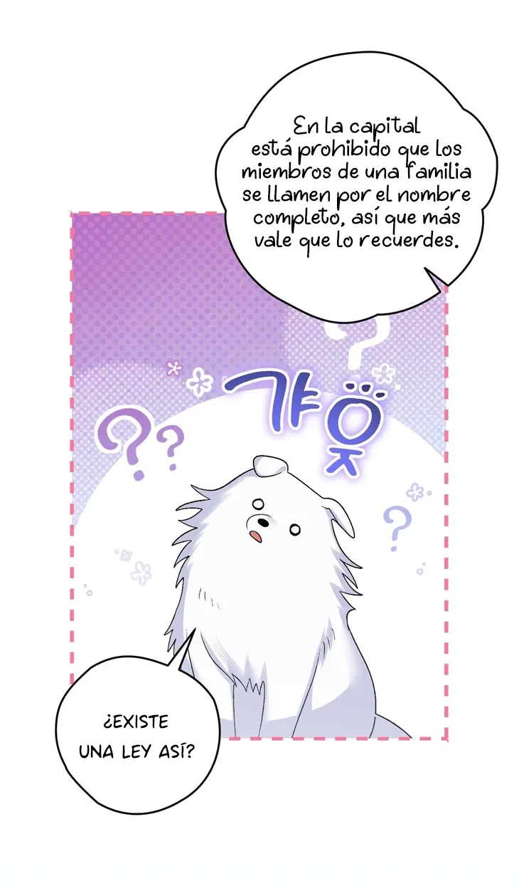 Página 54