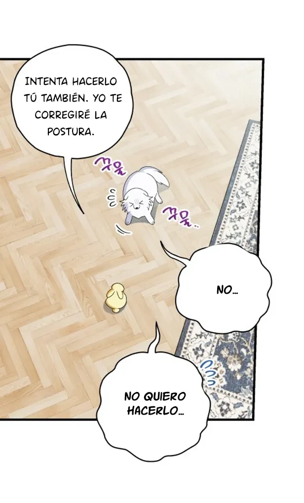 Página 49
