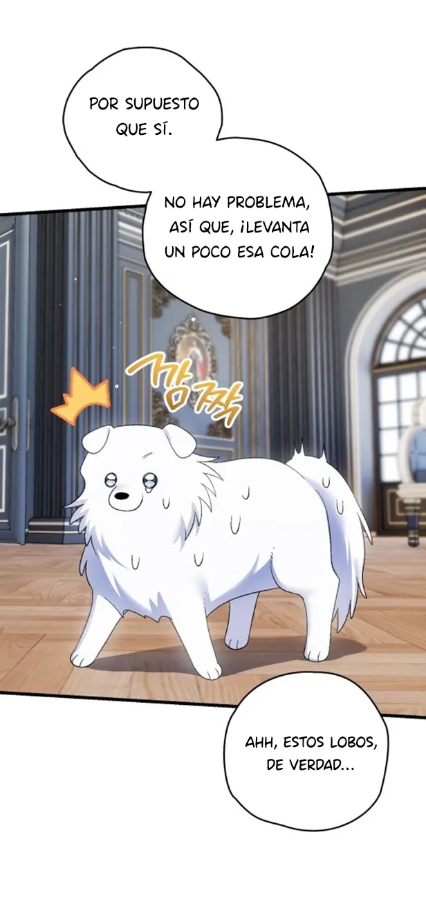 Página 53