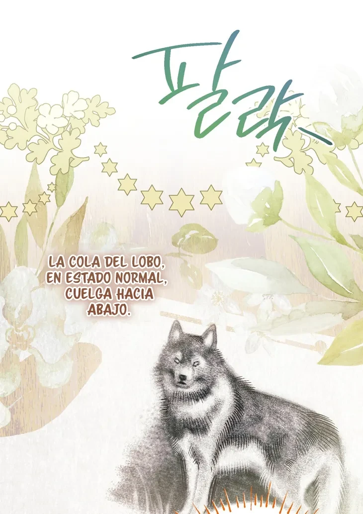 Página 66