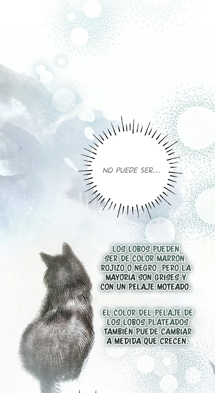 Página 50