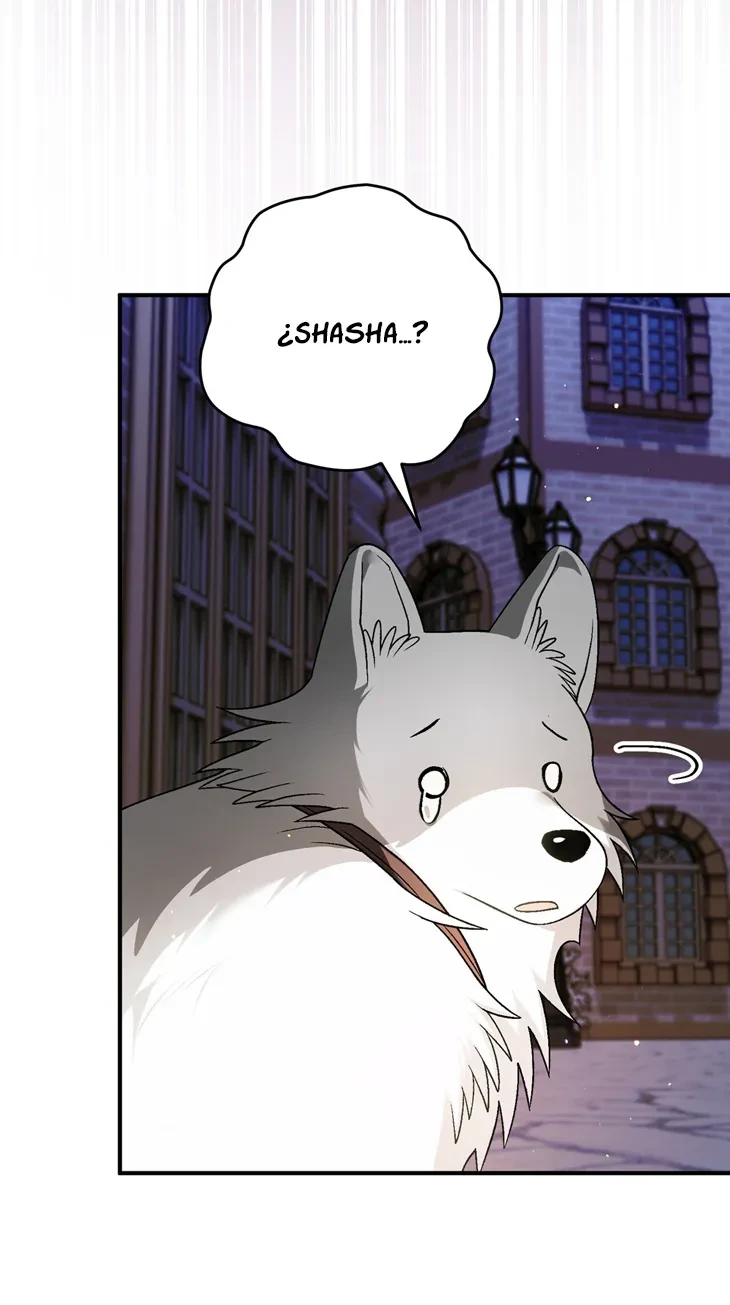Página 53