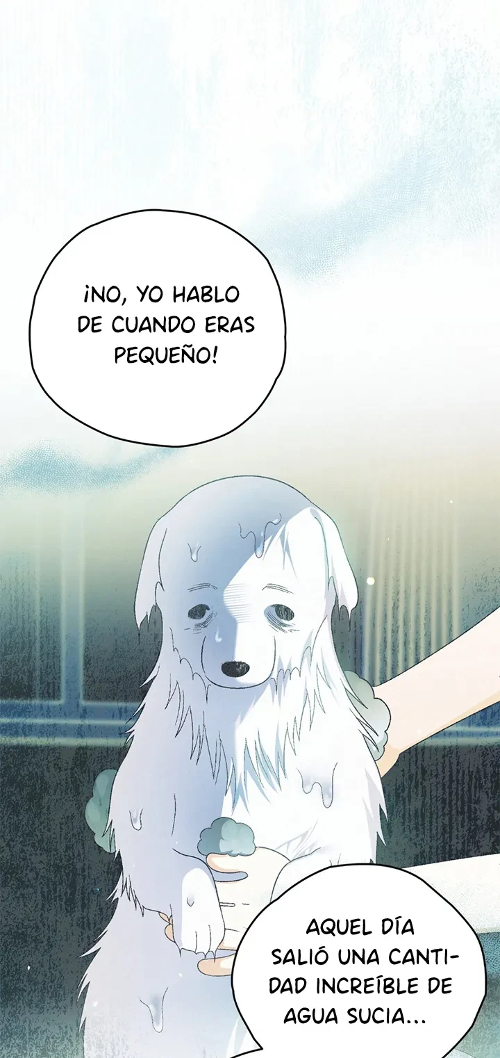 Página 54