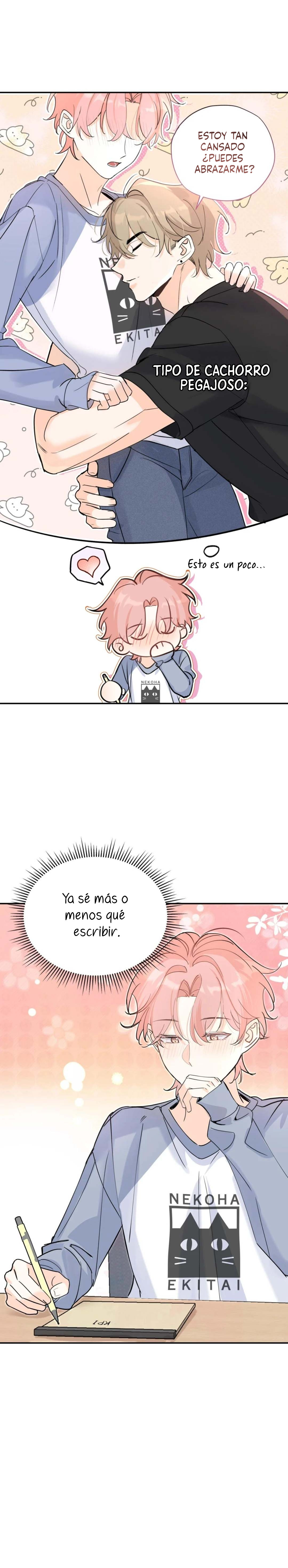 Página 8