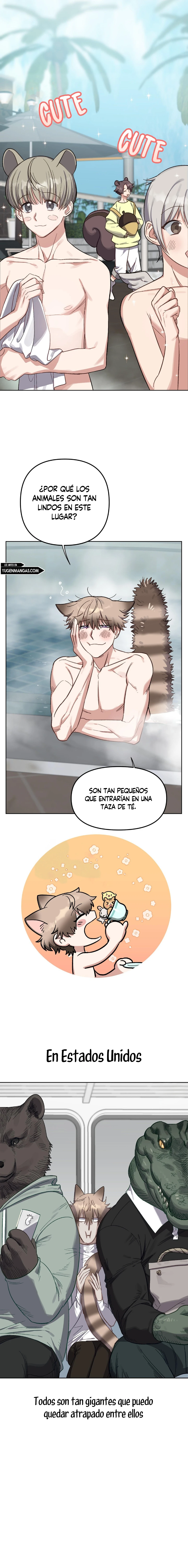 Página 8