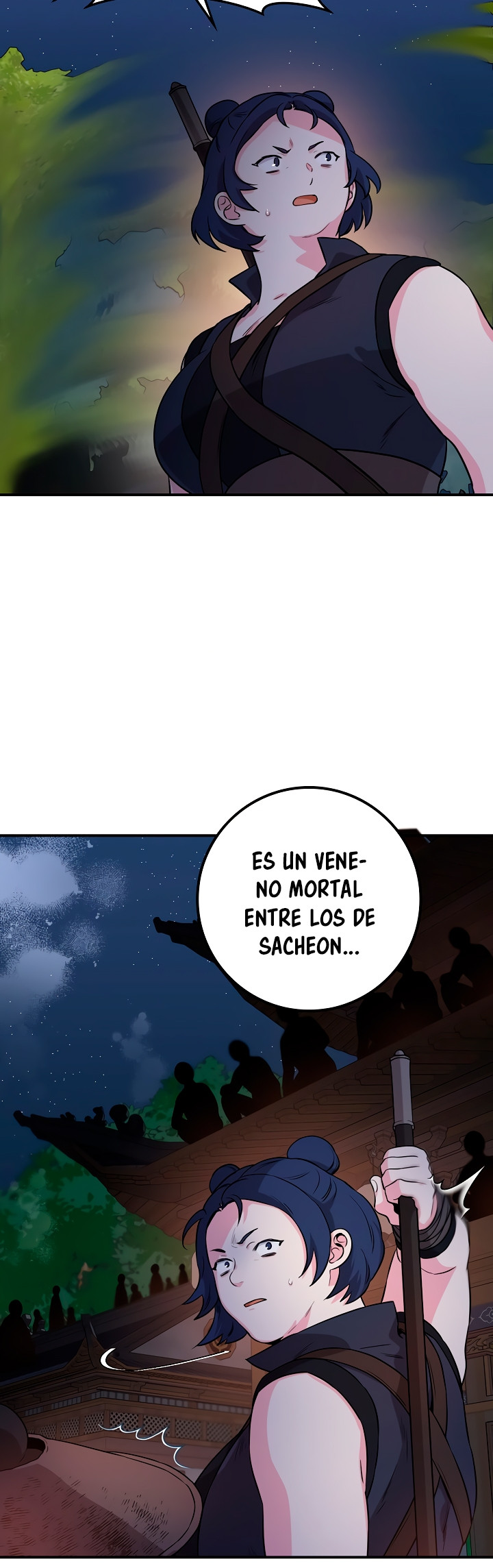Página 29