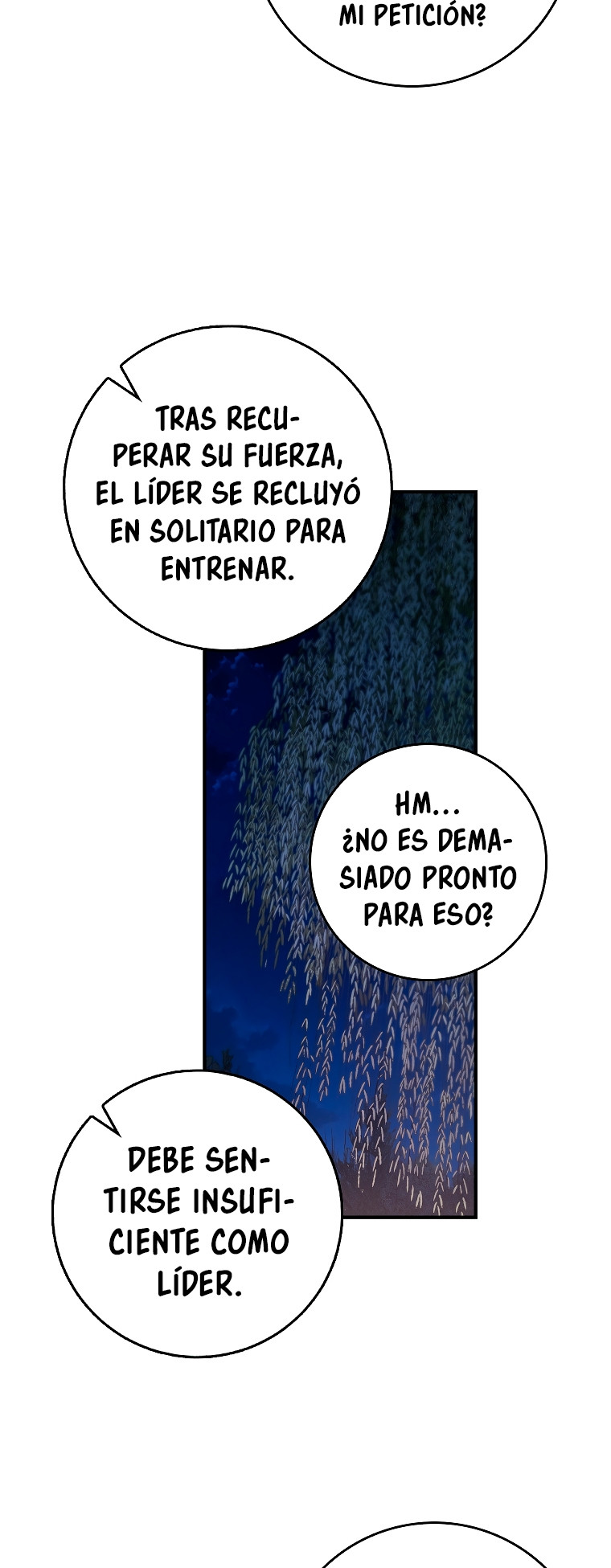 Página 19