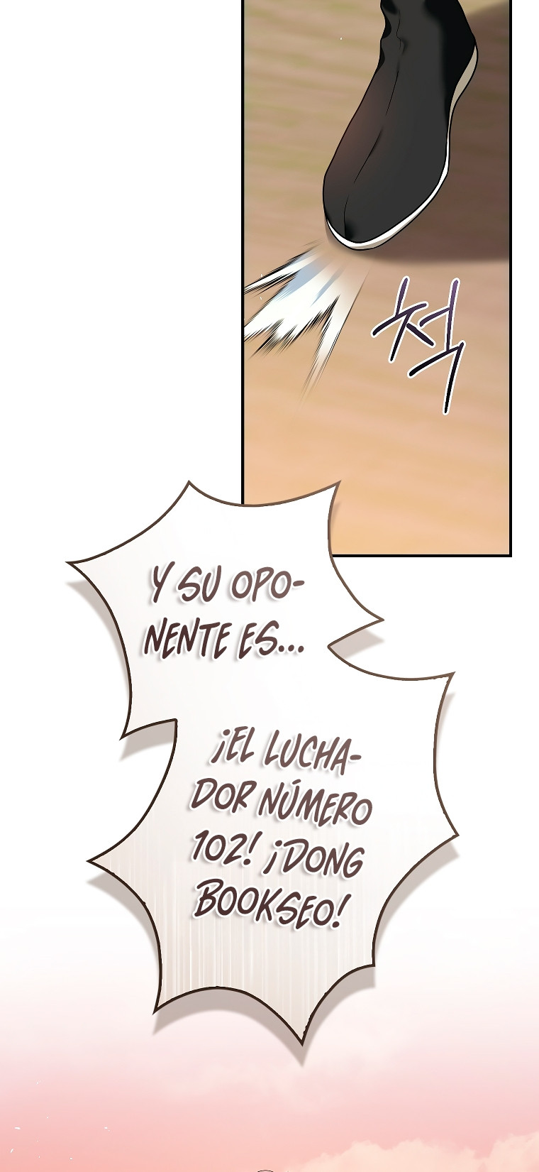 Página 46
